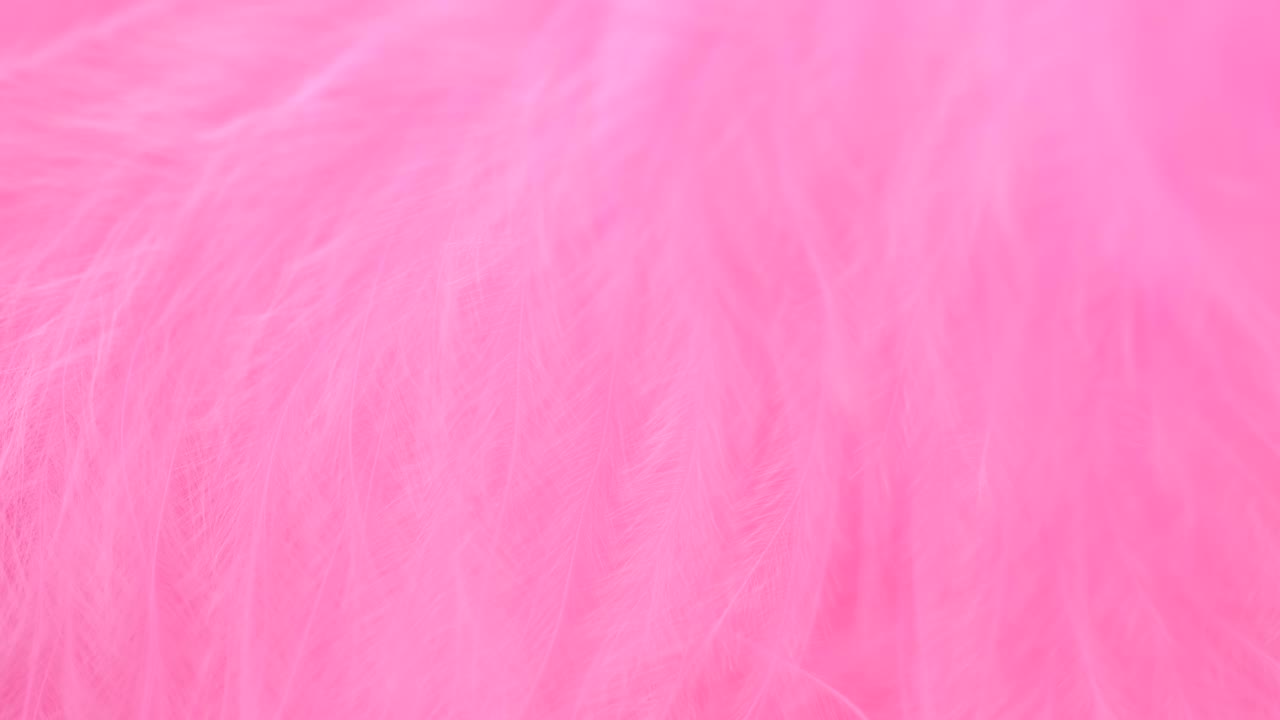 抽象温柔粉红色羽毛背景。选择性对焦，慢动作羽毛背景。宏。粉色蓬松背景视频素材