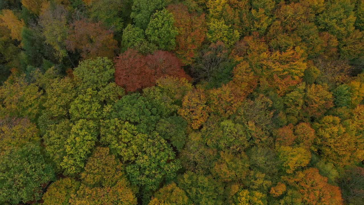从空中俯瞰秋天的森林，萨尔高的弗罗伊登堡视频下载