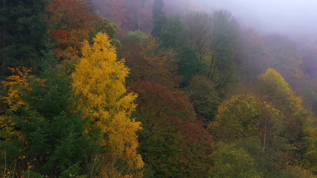 鸟瞰森林与雾在秋天，弗罗伊登堡，萨尔高视频下载