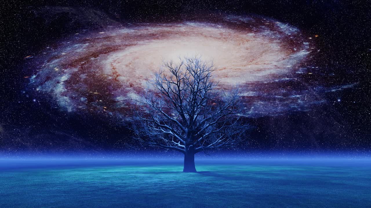 光秃秃的光秃秃的树在雾蒙蒙的平面上，背景是旋转的星系。镜头移向那棵树视频下载