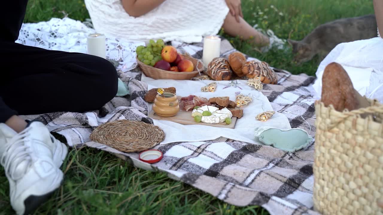特写，一家人在大自然中野餐视频下载