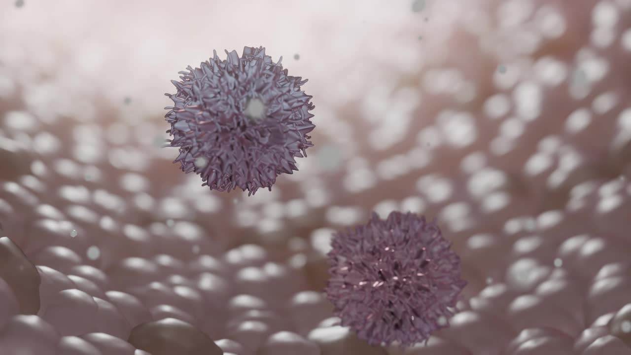被称为淋巴细胞的白细胞是人体免疫系统的一部分。视频下载