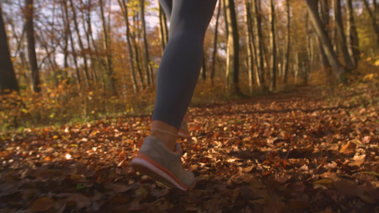 近景，慢动作，低角度，女人和她的狗在秋天的树林里奔跑视频下载