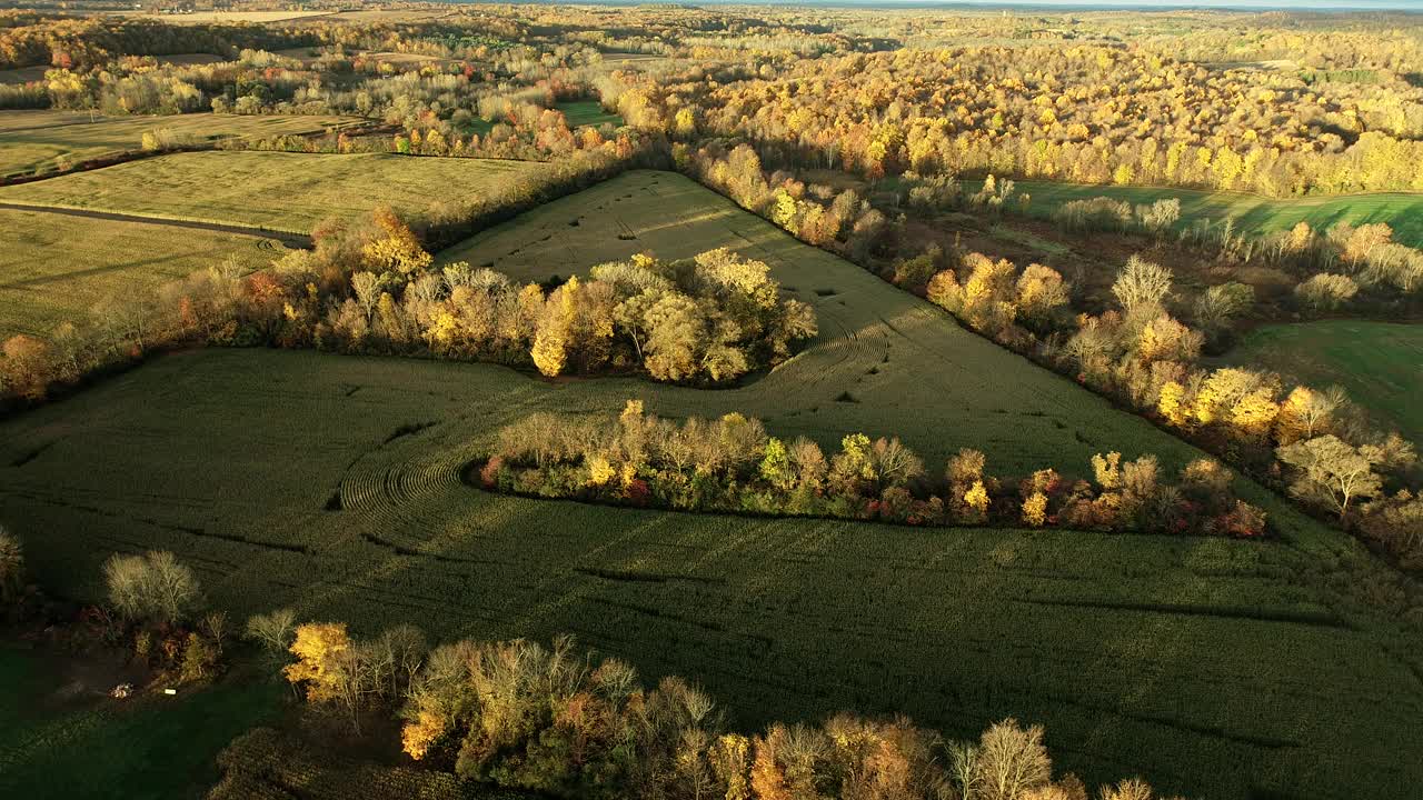 农场和田野的秋天鸟瞰图视频下载