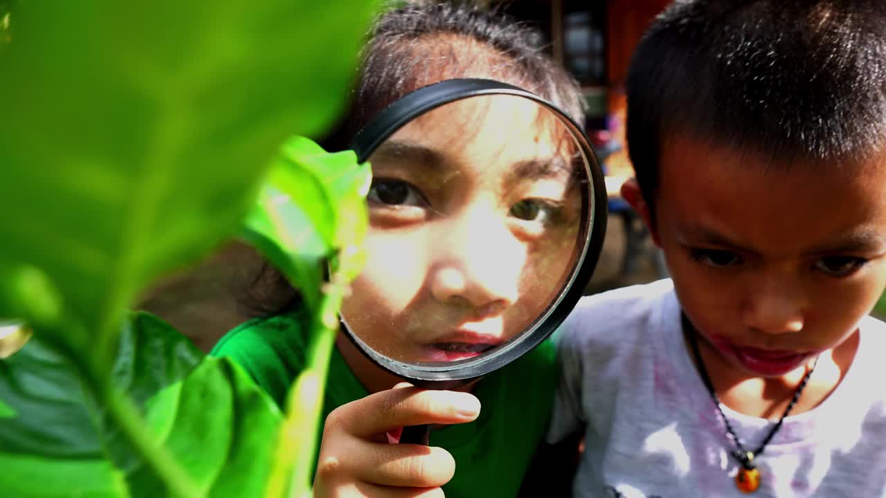 孩子们用放大镜探索大自然视频下载