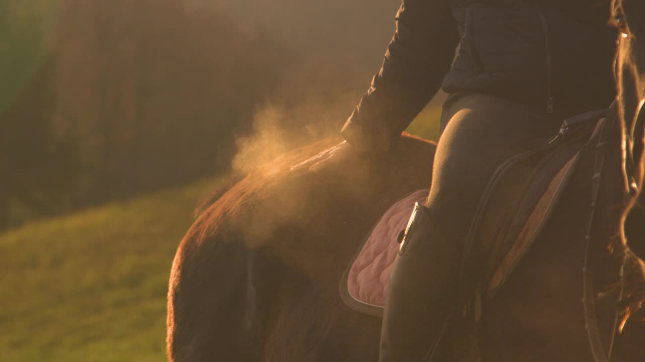 特写:一位骑在马鞍上的骑手拍了拍一匹马，马上扬起了一团灰尘视频素材