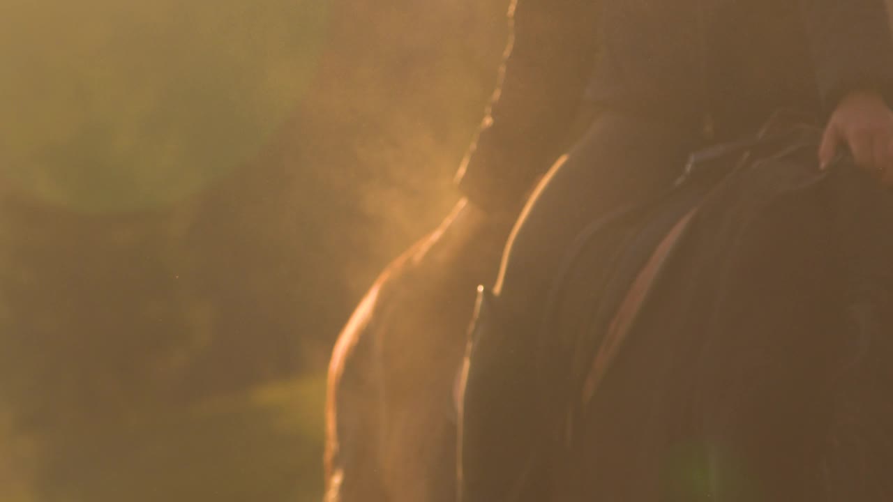 特写:骑在马鞍上的无名骑手拍了拍一匹马，马上扬起了一团灰尘视频素材