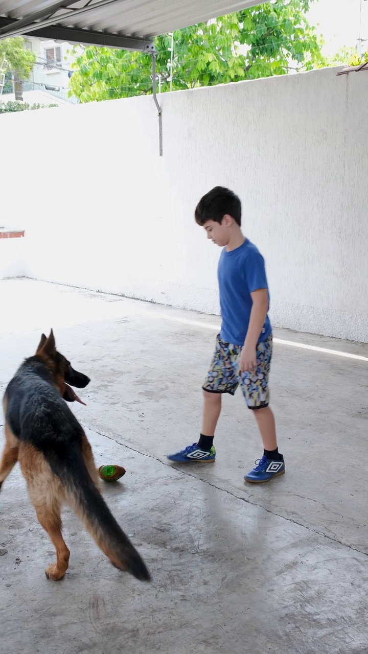 一个10岁的小男孩旋转着，扔着一个小球，让他的德国牧羊犬接住。视频下载