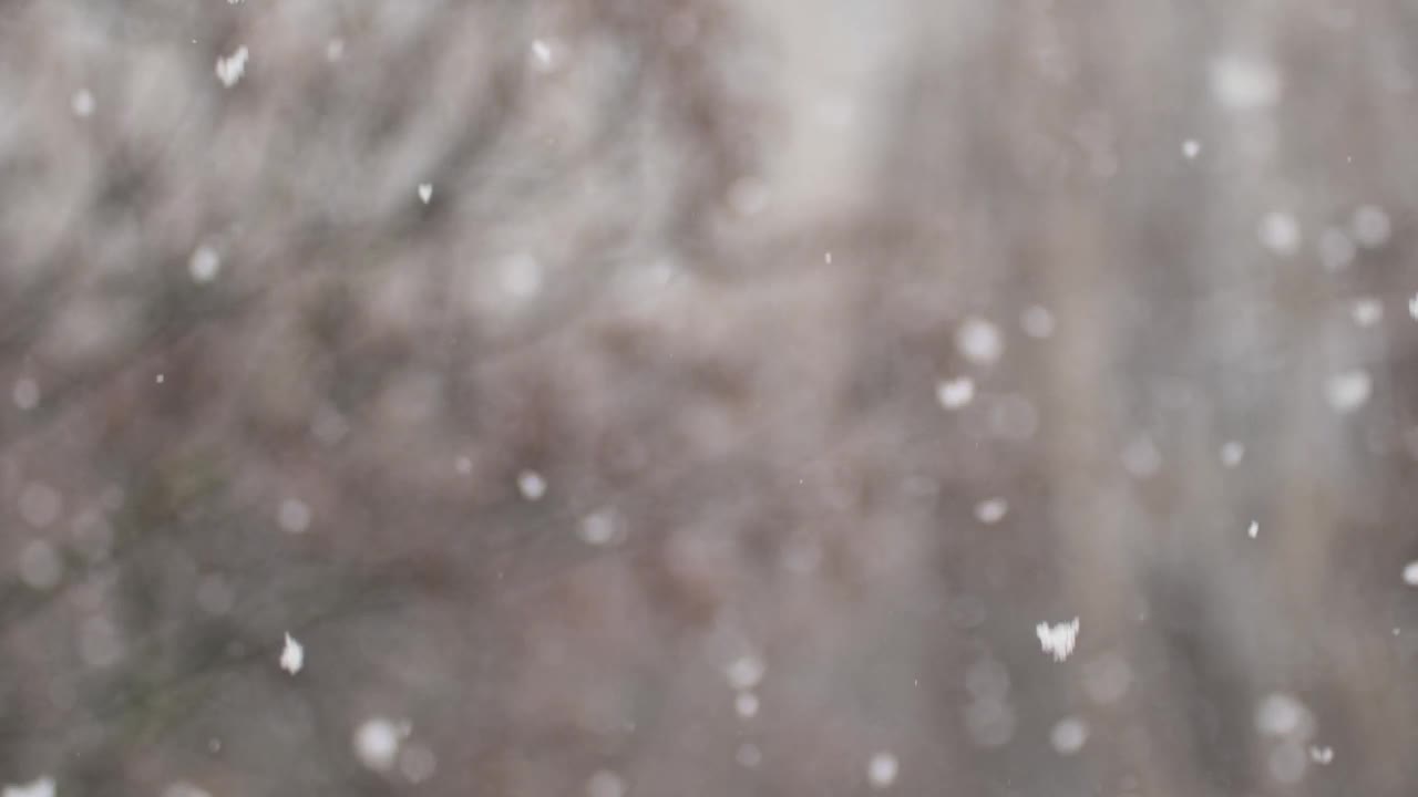 美丽的雪花在模糊的背景上视频下载