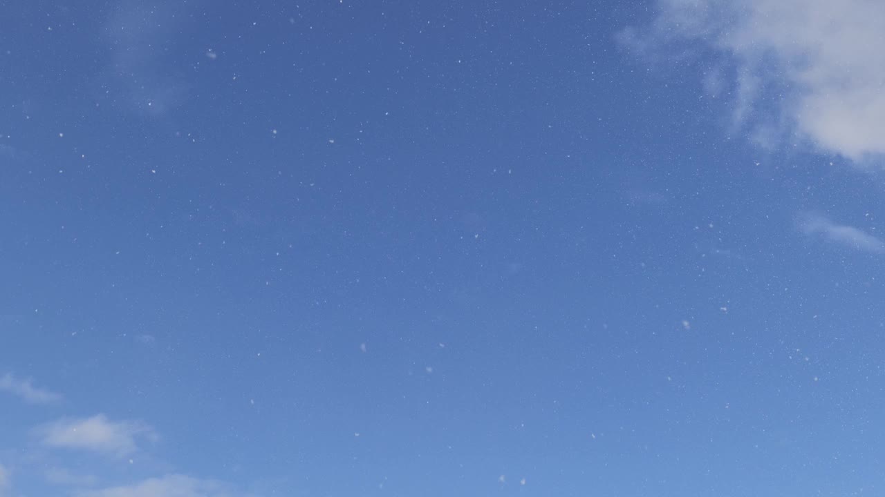 雪花在蓝天的映衬下飘落视频下载