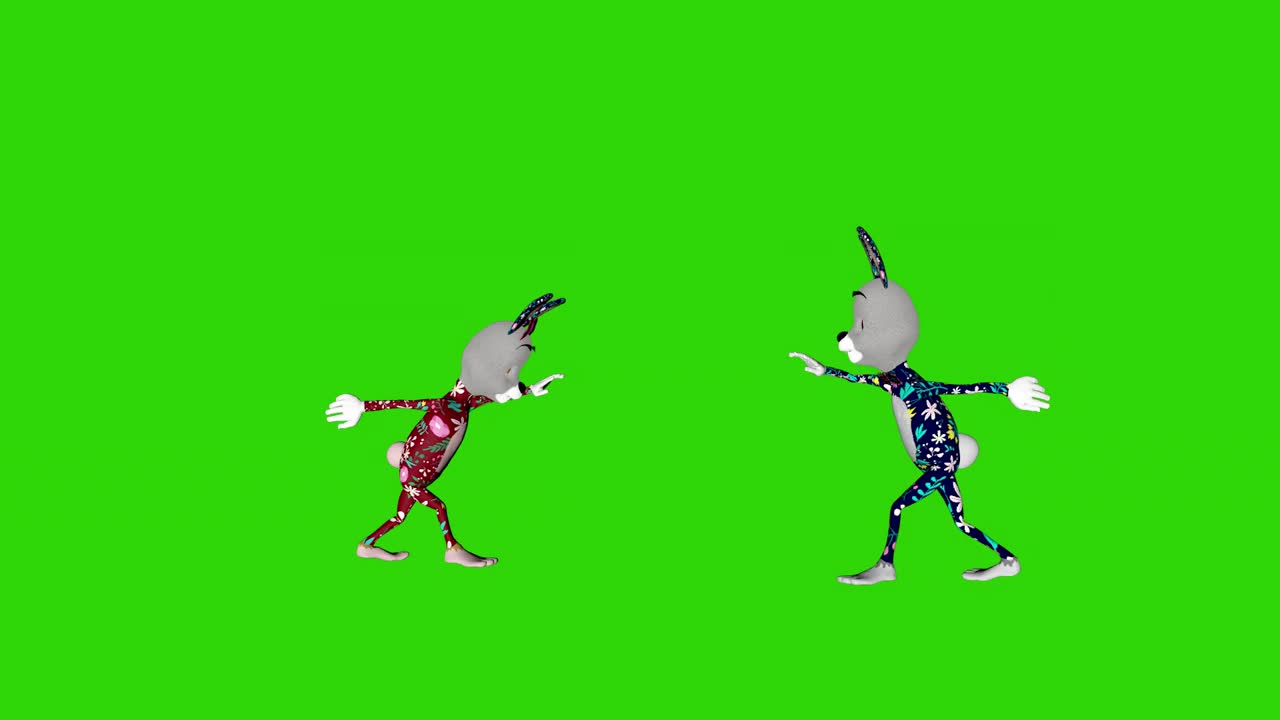 复活节夫妇兔子跳舞，循环，绿屏铬视频下载