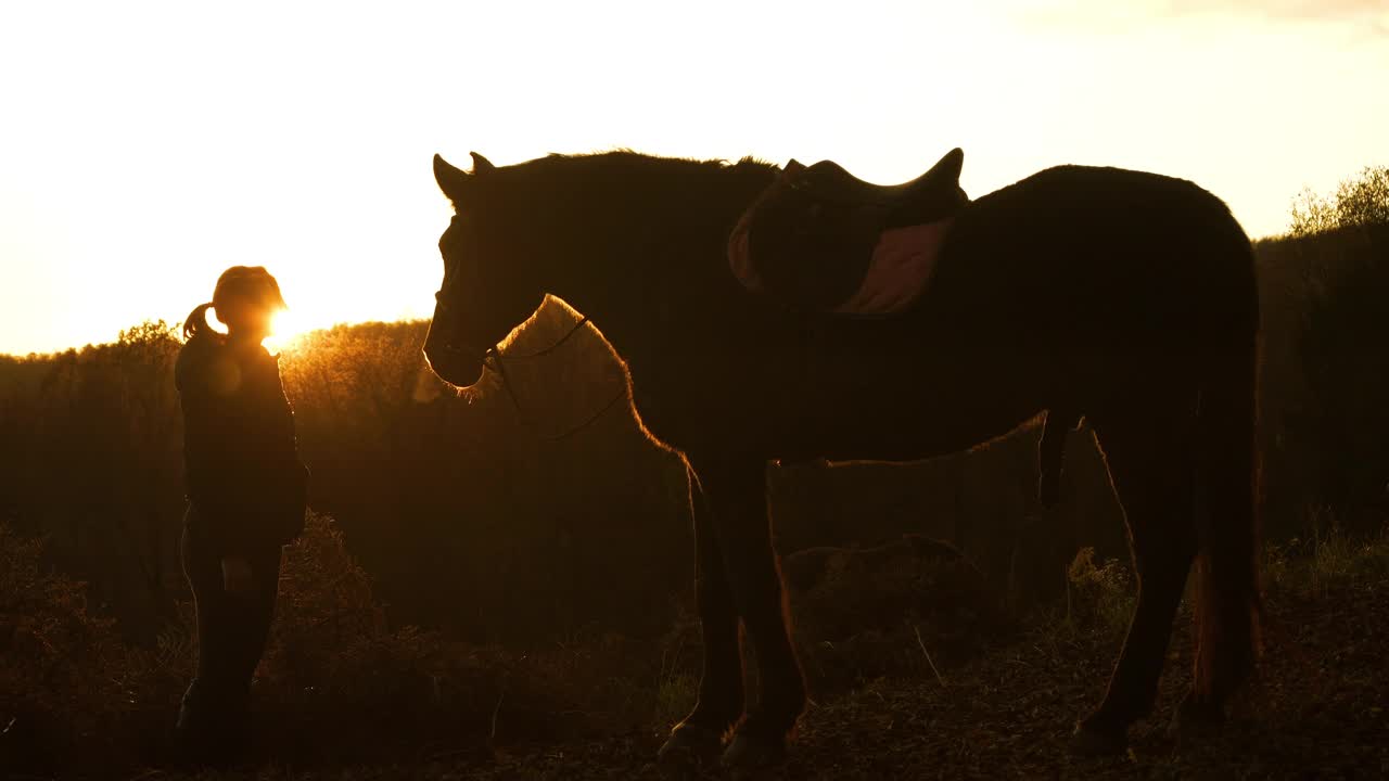 剪影，镜头光晕:去年秋天的阳光照在一个女人和她的马之间视频素材