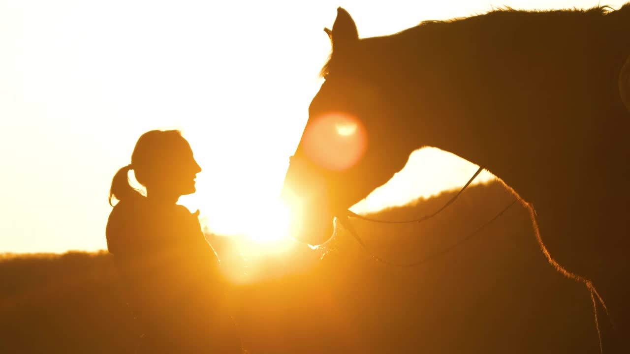 剪影，镜头光晕:日出时，一位女士和她的马之间的亲密时刻视频素材