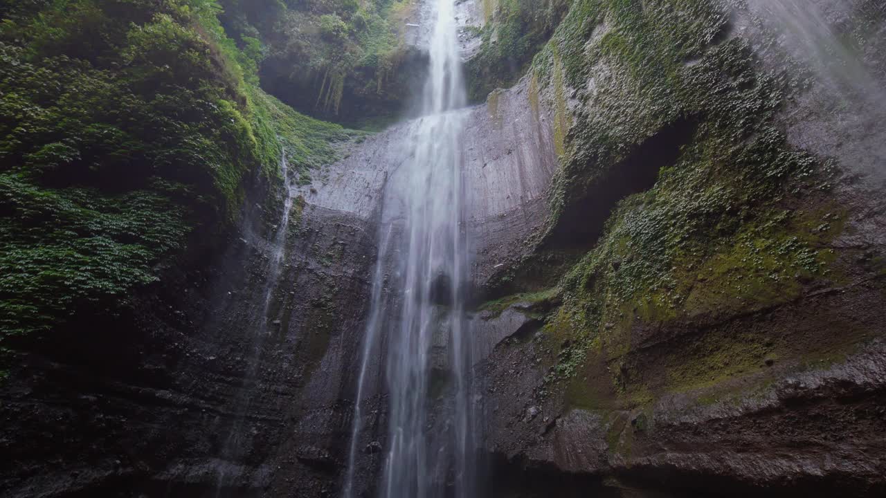 Madakaripura瀑布位于森林深处，是印度尼西亚东爪哇最高的瀑布视频下载