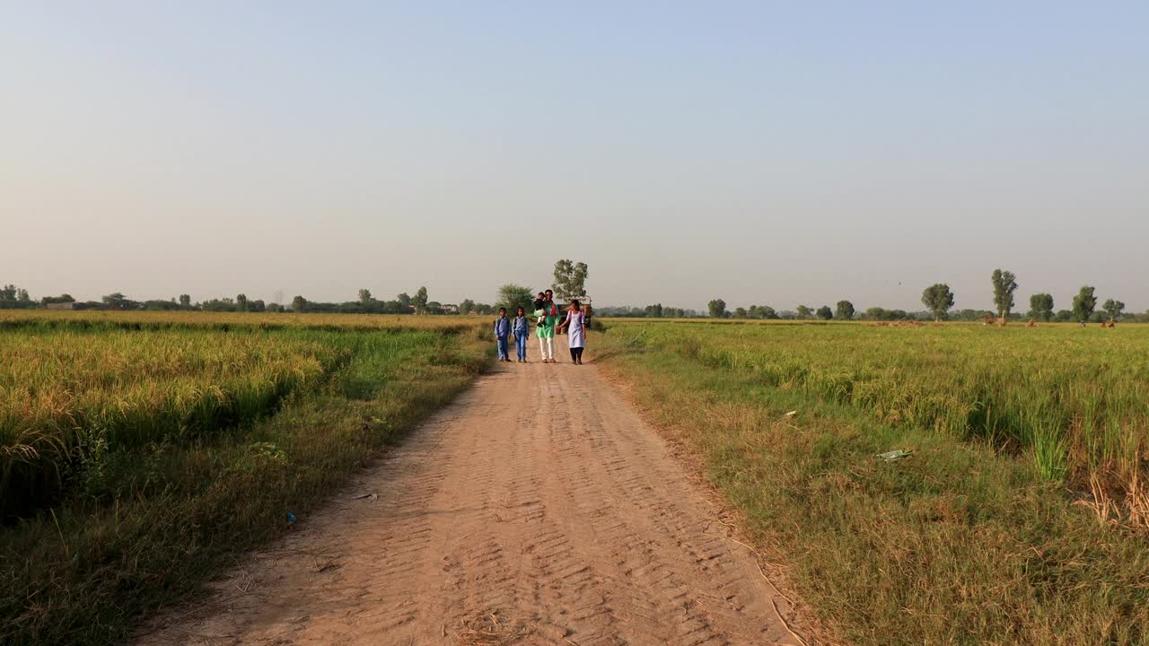 学校放假后，一家人在乡间小路上散步视频素材