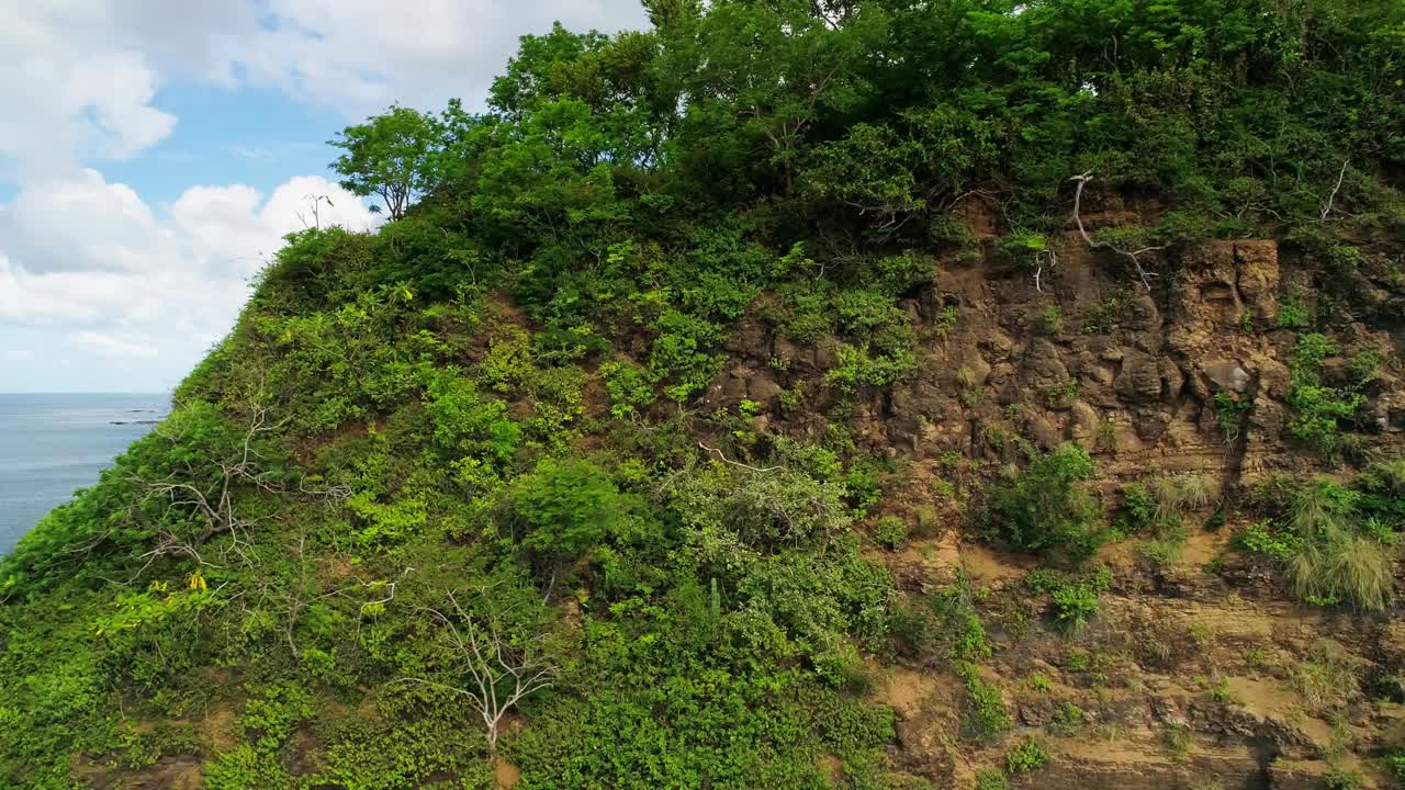 横向无人机建立，风景如画的全景尼加拉瓜海岸线，阳光明媚的日子视频下载