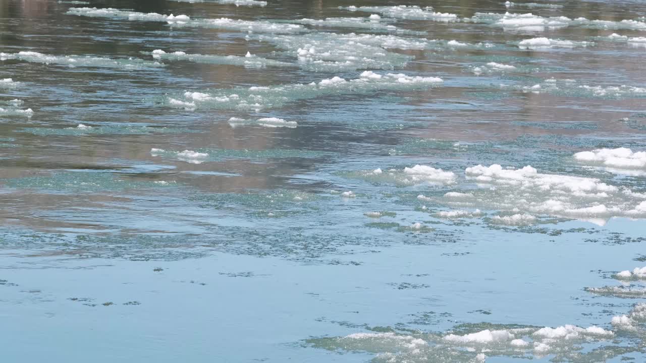 在阳光明媚的日子里，融化的冰块很快浮在水面上视频下载