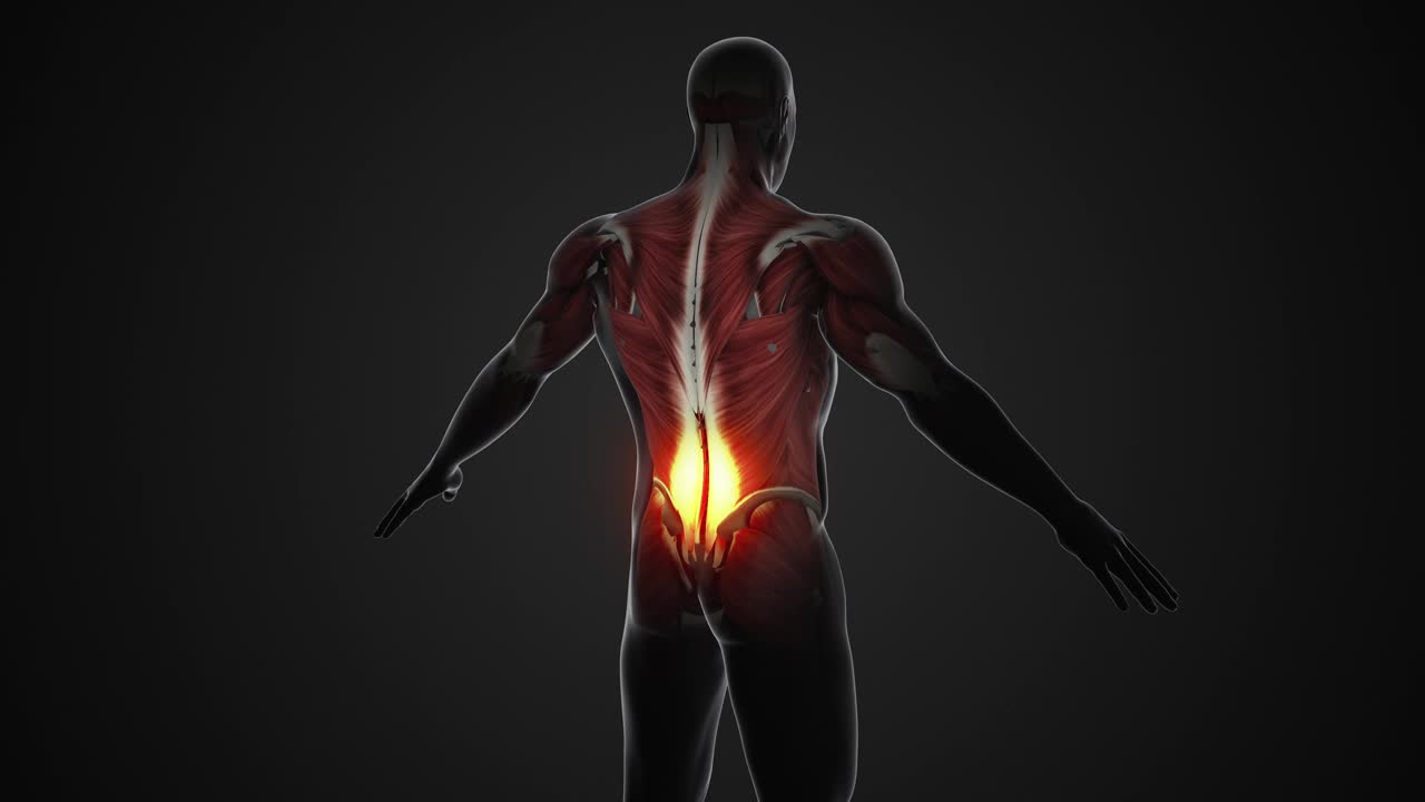 纤维肌痛或背部疼痛的医疗条件视频下载