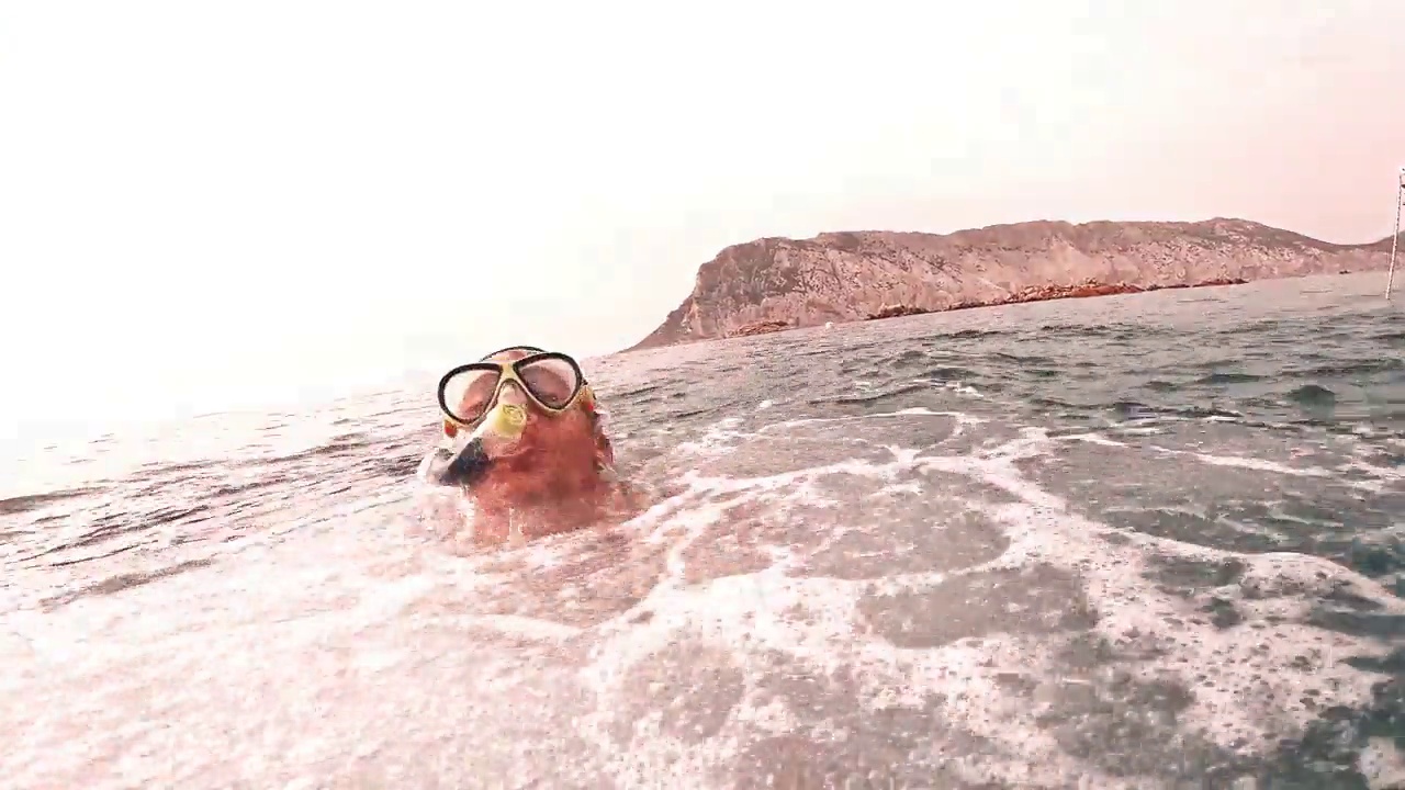 一个年轻、漂亮、活跃的男人从船上跳下来，享受户外假期，在海上浮潜，寻找鱼和珊瑚。男性旅行者拿着相机在蓝色的海洋里玩得很开心视频下载