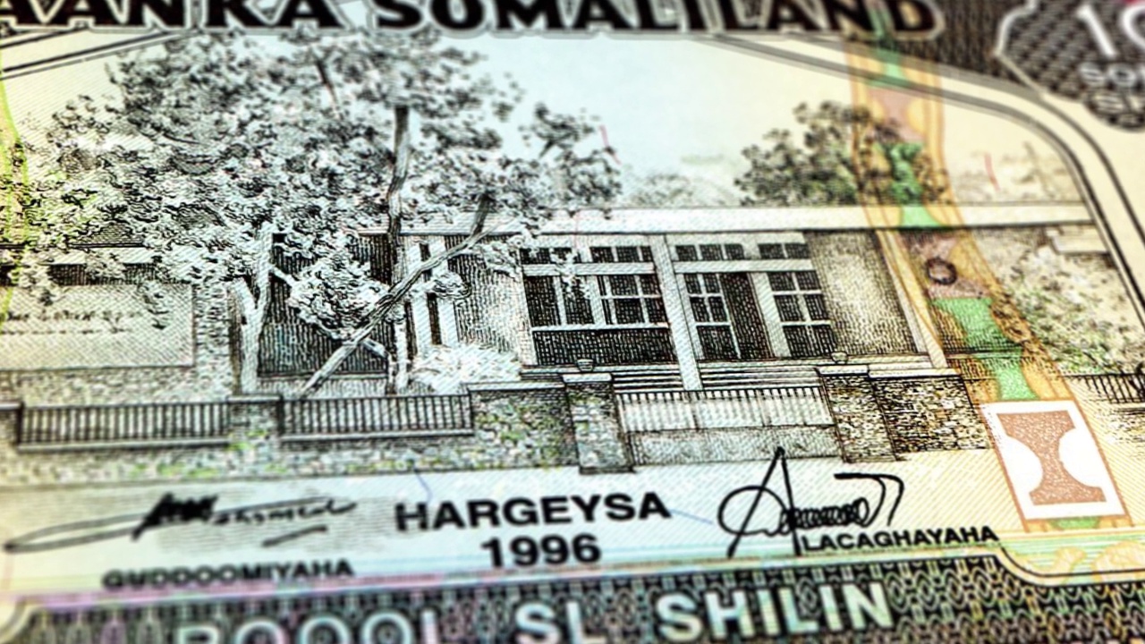 索马里兰索马里先令100钞票，一百索马里兰先令，索马里兰先令特写和宏观视图，跟踪和多莉拍摄100索马里兰先令钞票观察和储备方面，索马里兰先令货币背景视频下载