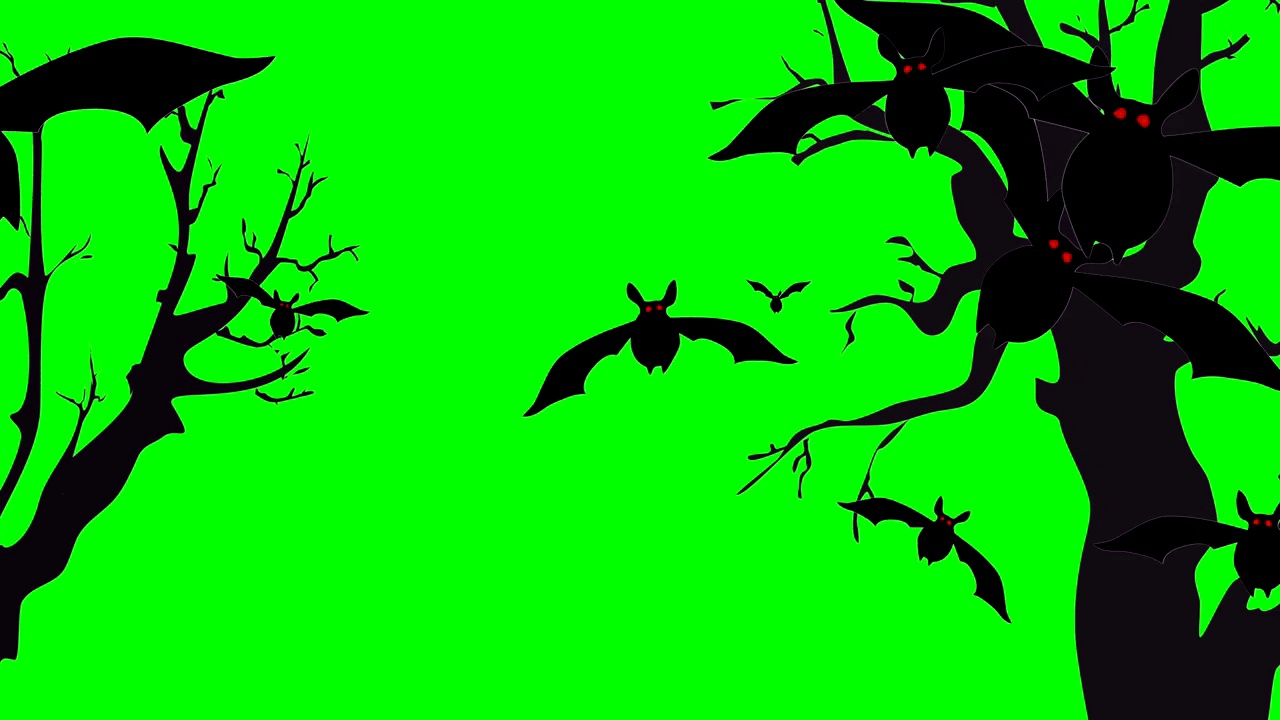 动画或电脑图形的卡通蝙蝠和树为万圣节在绿色色度键背景插入视频下载