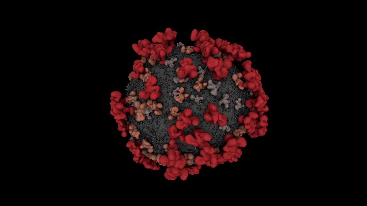 冠状病毒细胞的循环动画视频下载