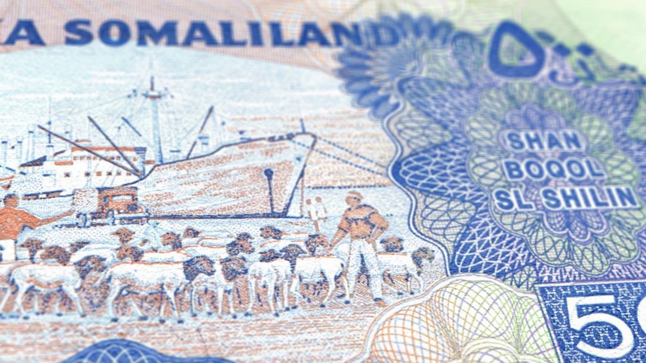 索马里兰500先令钞票，500索马里兰先令，索马里兰先令特写和宏观视图，跟踪和多莉拍摄500索马里兰先令钞票观察和储备面，索马里兰先令货币背景视频下载