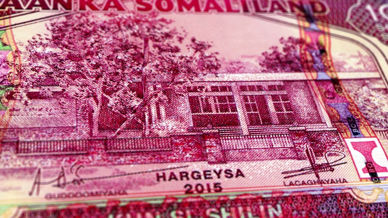 索马里兰索马里先令1000钞票，一千索马里兰先令，索马里兰先令特写和宏观视图，跟踪和多莉拍摄1000索马里兰先令钞票观察和储备面，索马里兰先令货币背景视频下载