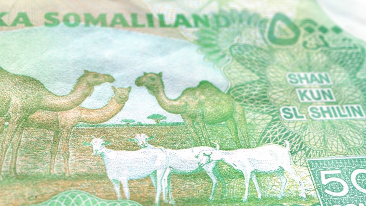 索马里兰5000先令钞票，5000索马里兰先令，索马里兰先令特写和宏观视图，跟踪和多利拍摄5000索马里兰先令钞票观察和储备面，索马里兰先令货币背景视频下载