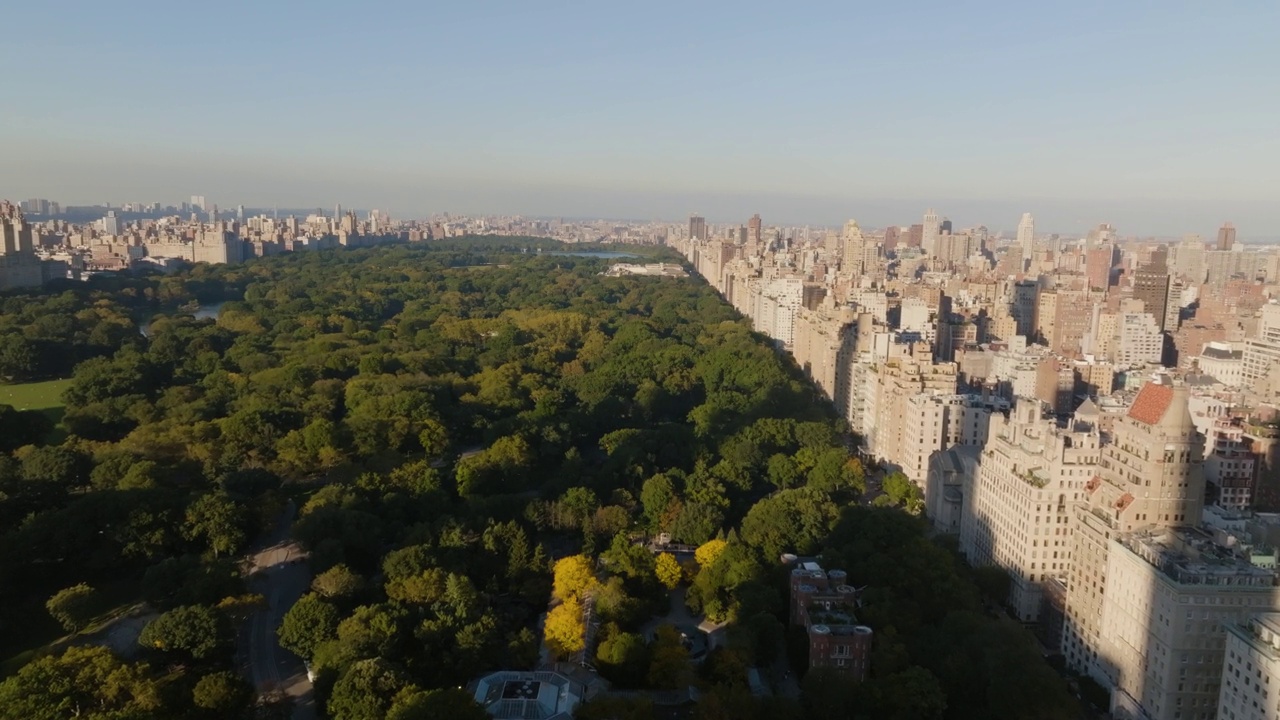 纽约曼哈顿，秋天的黄金时段，无人机在中央公园上空倾斜拍摄视频下载