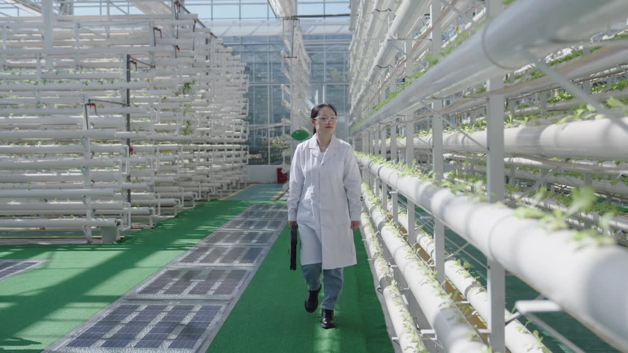 一位女农业科学家正在实验室工作视频下载