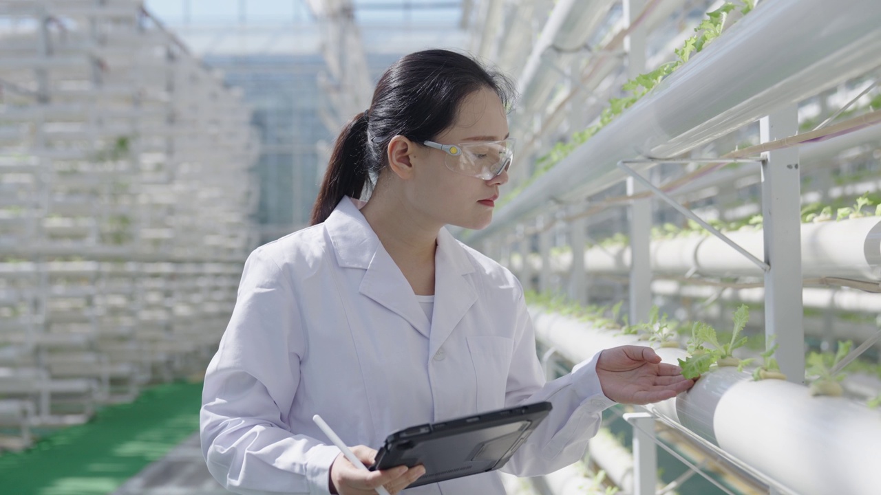 女农业科学家正在实验室检查蔬菜生长情况视频下载