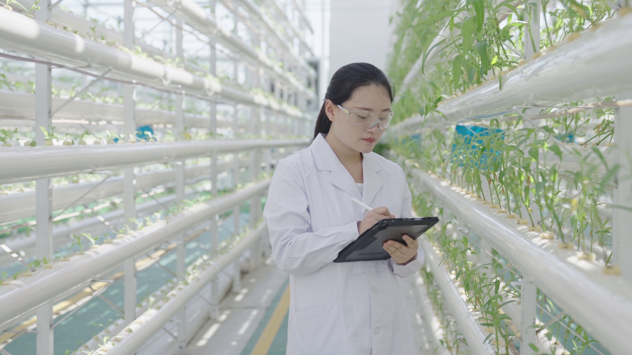 女农业科学家正在实验室检查蔬菜生长情况视频下载