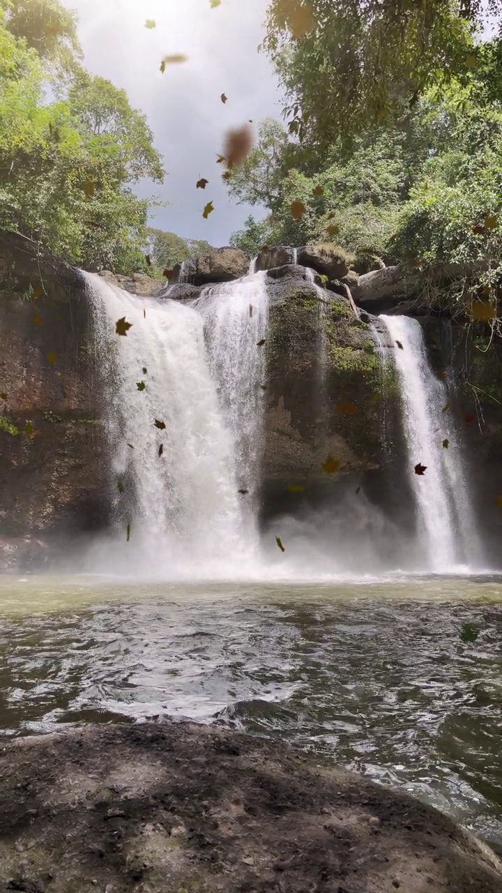 垂直视频，白天瀑布在丛林森林，树叶落下的慢动作。视频下载