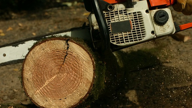 链锯切割原木，慢动作视频素材