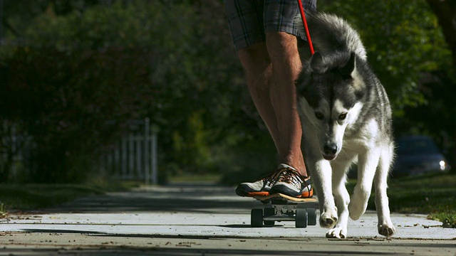 狗在滑板上拉人，慢动作视频下载
