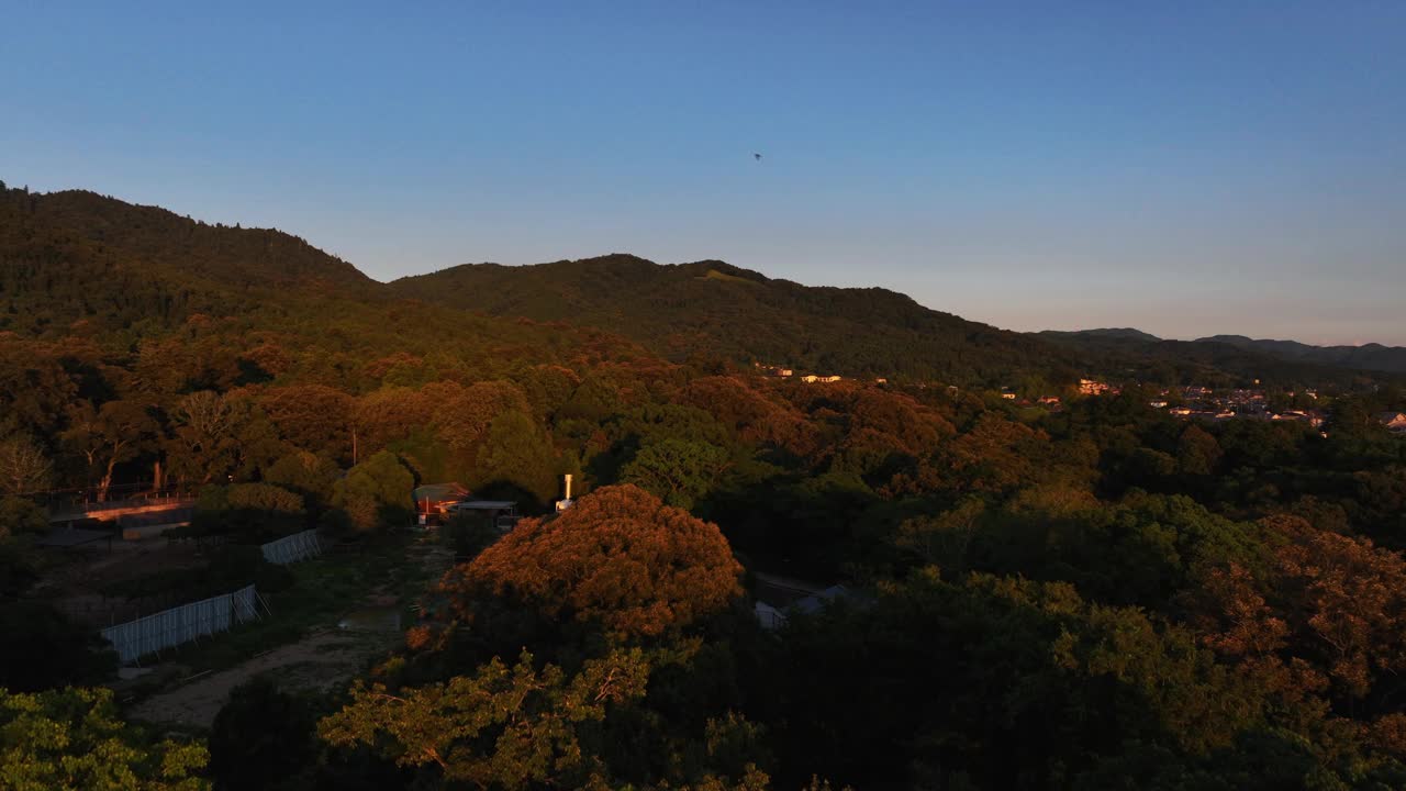 从空中俯瞰奈良公园阳光普照的森林，日本的日落视频下载
