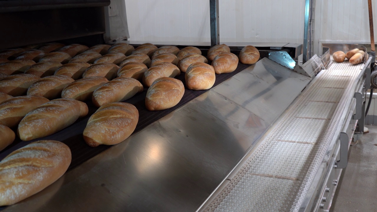 热面包从工业面包烘烤隧道炉中出来视频下载