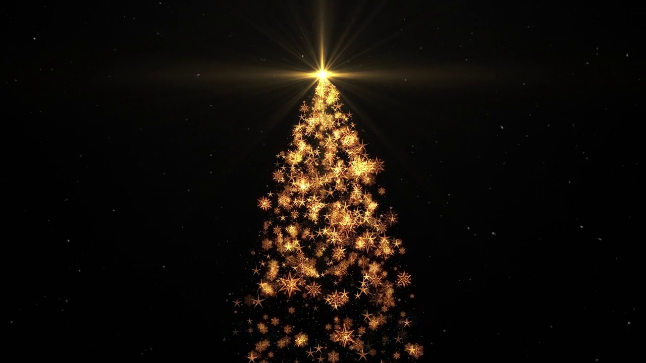明亮的圣诞树闪烁的灯和星星在黑色的背景视频素材