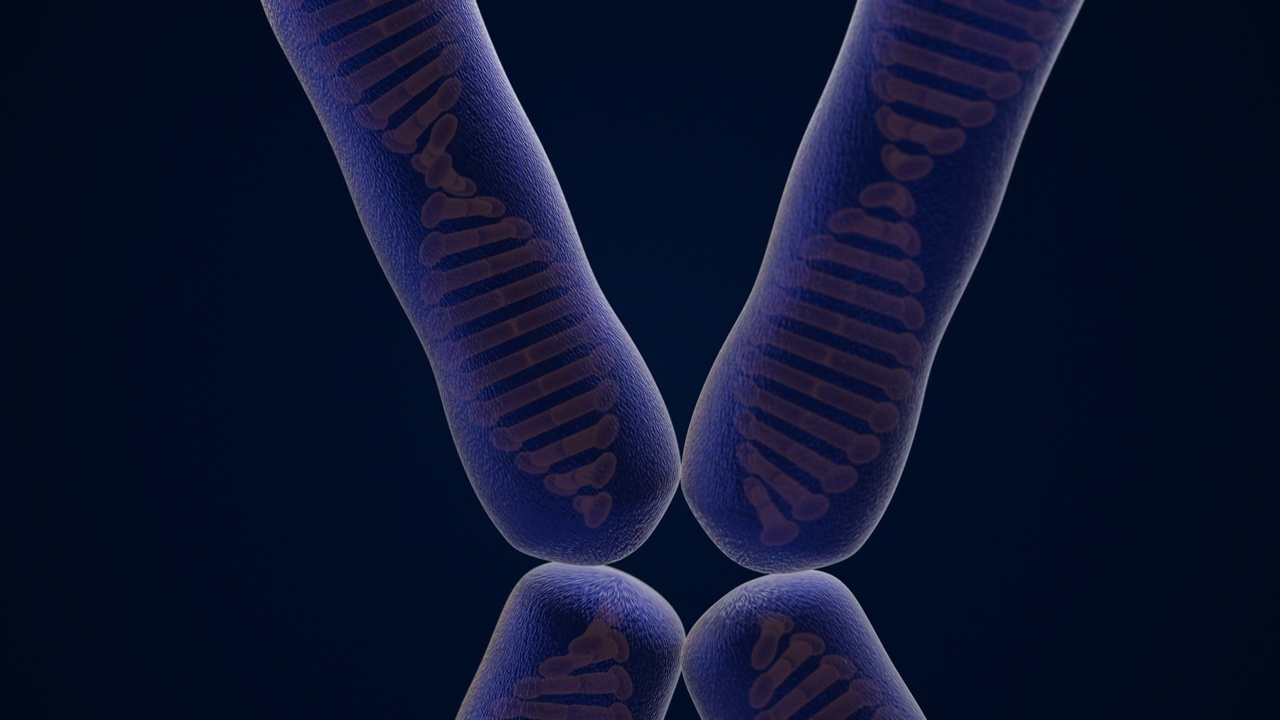 染色体和DNA结构医学和生物技术背景视频下载