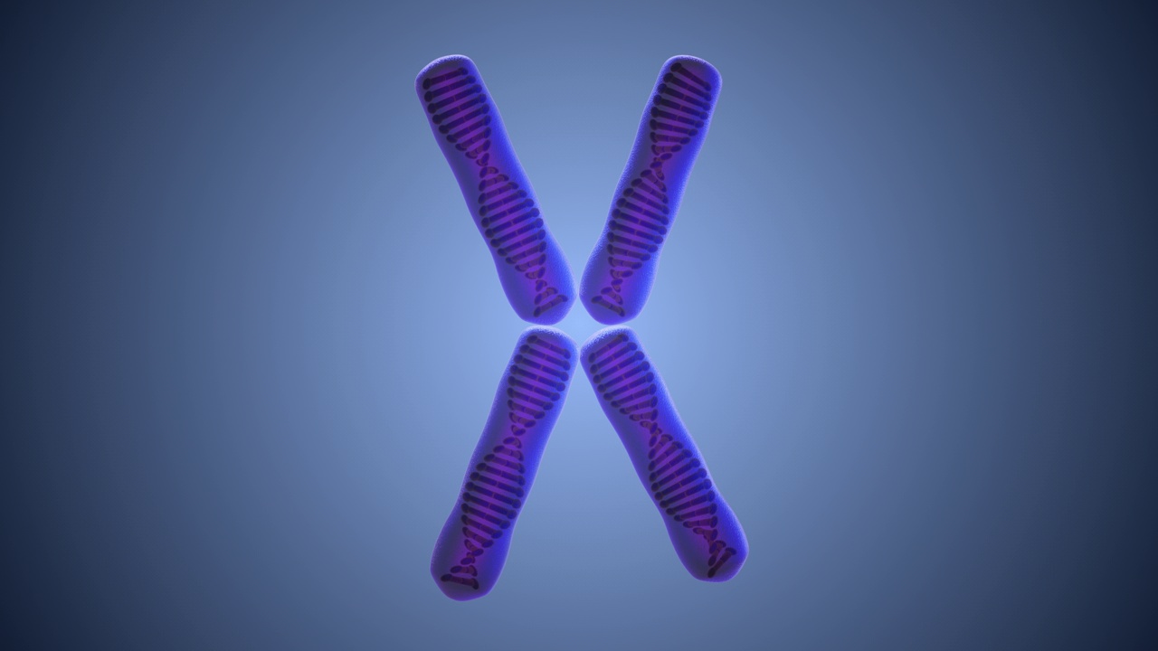 染色体和DNA结构的医学概念视频下载