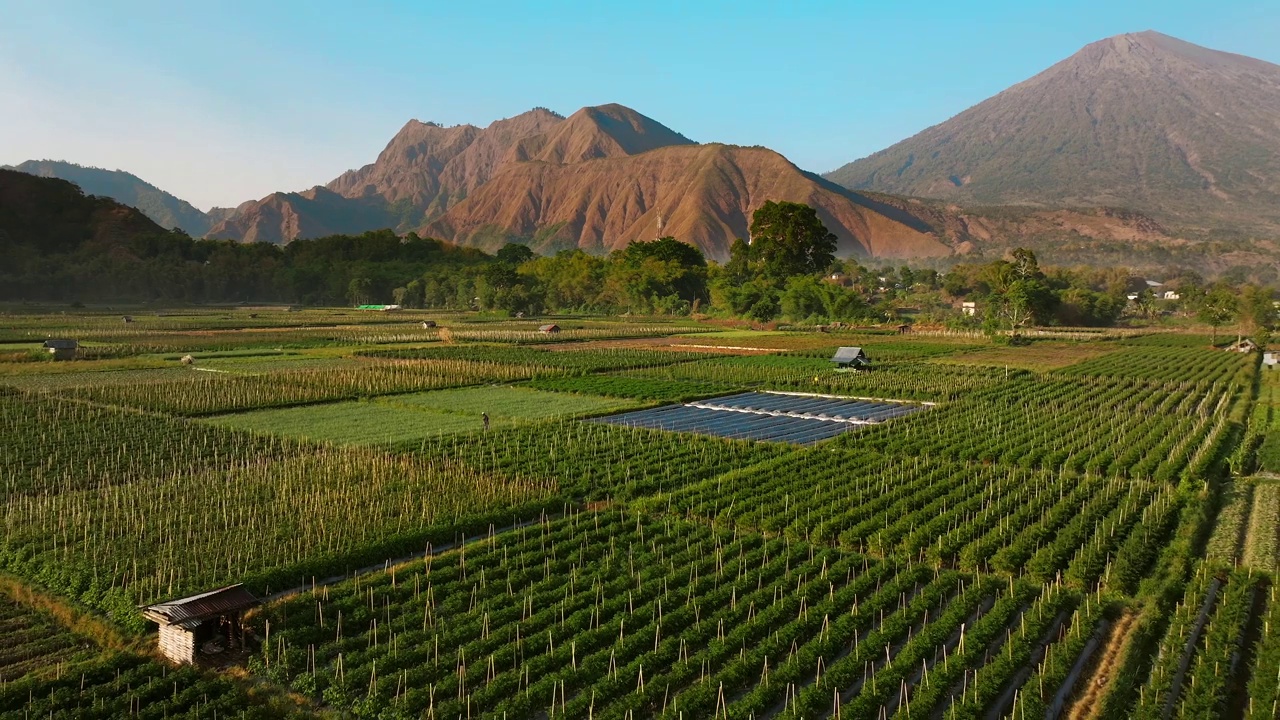 印度尼西亚龙目岛Sembalun村当地农民的航拍-无人机4K视频下载