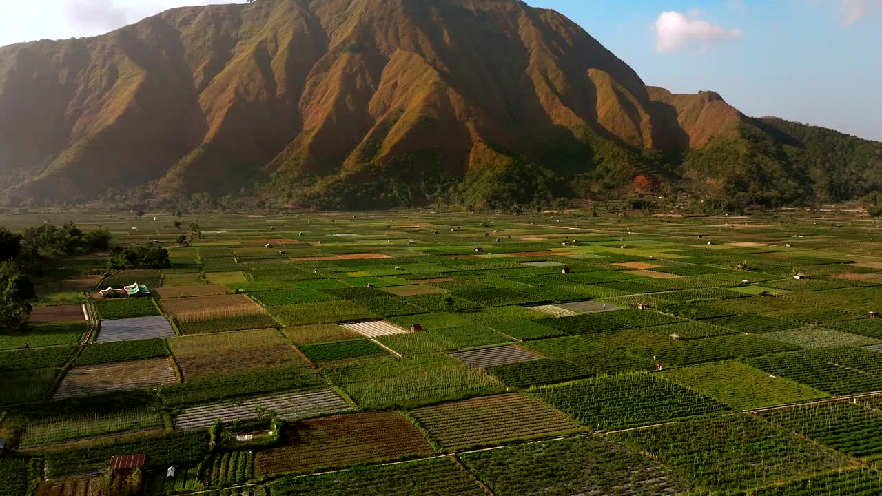 印度尼西亚龙目岛Sembalun村农村航拍-无人机4K视频素材