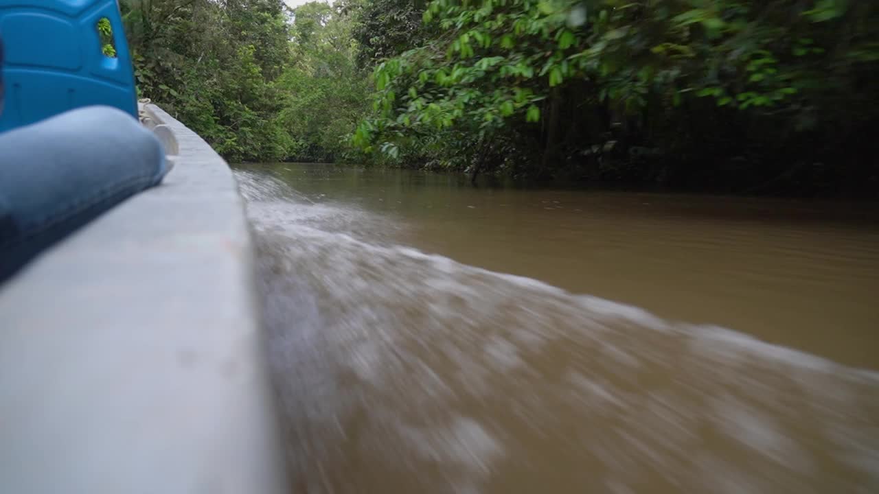 在厄瓜多尔的亚马逊地区的热带雨林中，在Cuyabeno野生动物度假村的热带丛林中，从摩托艇一侧俯瞰水面。视频下载