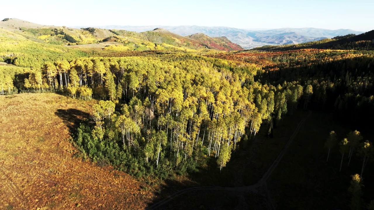 犹他州瓦萨奇山脉秋季鸟瞰图视频下载