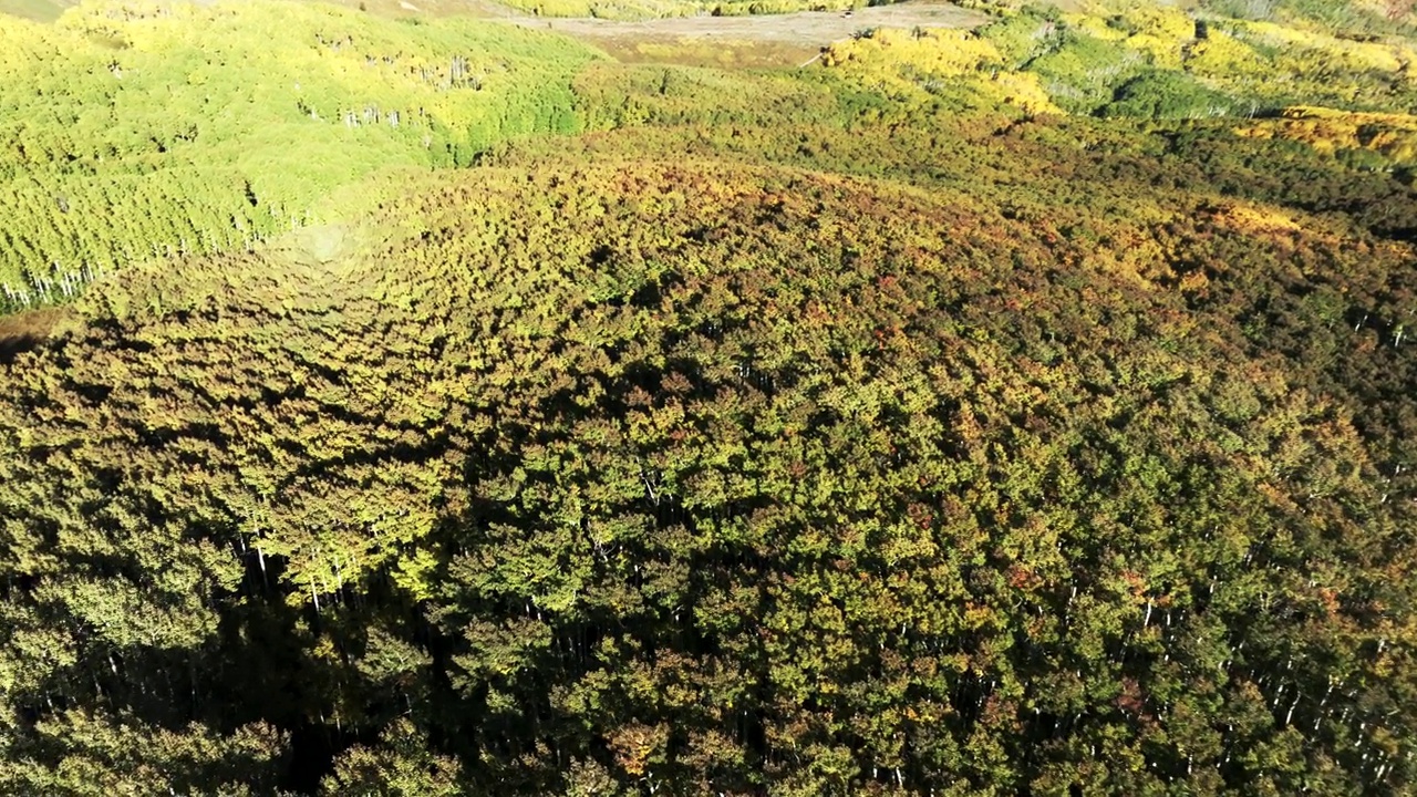 犹他州瓦萨奇山脉秋季鸟瞰图视频下载
