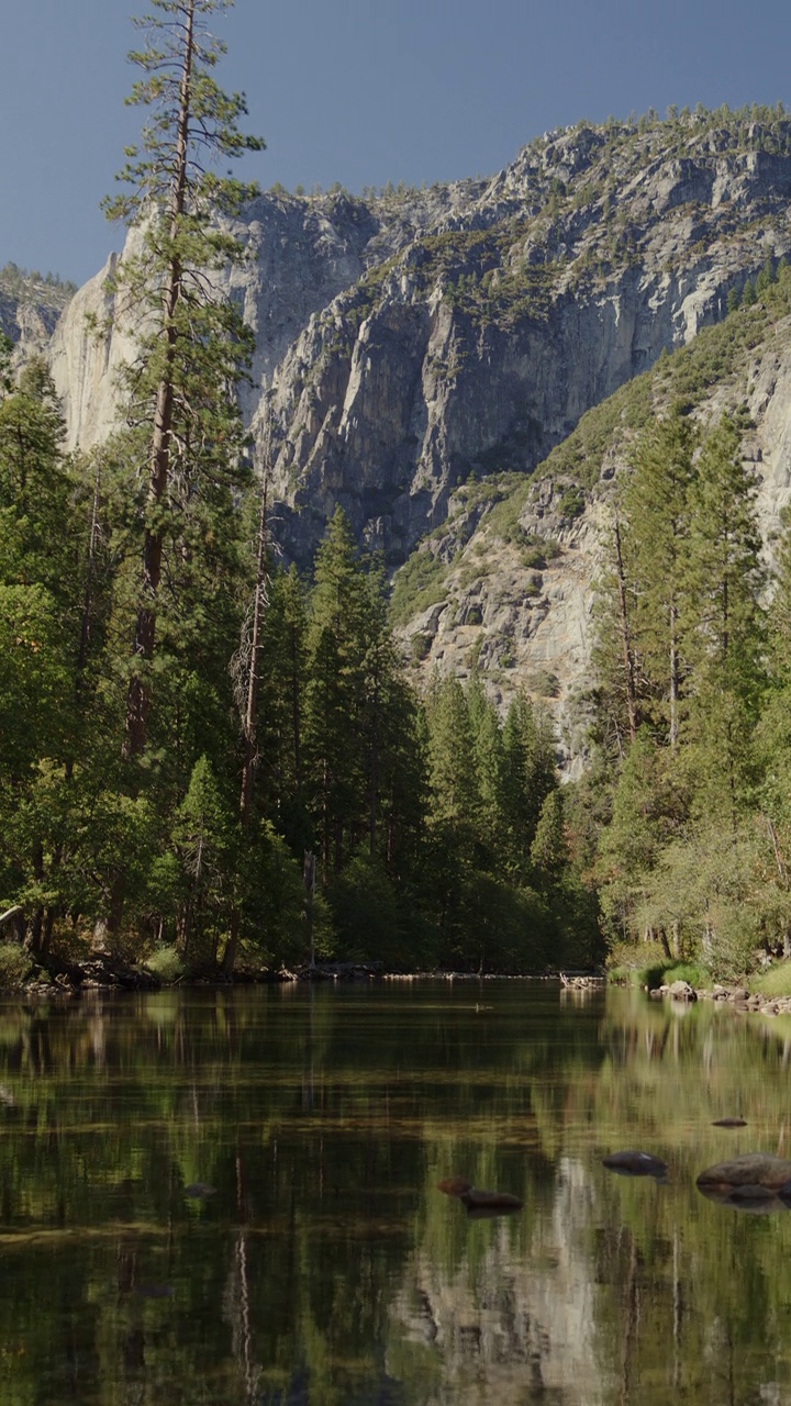 倾斜到靠近树木和山脉的河流美景-垂直视频/约塞米蒂山谷，加利福尼亚，美国视频下载