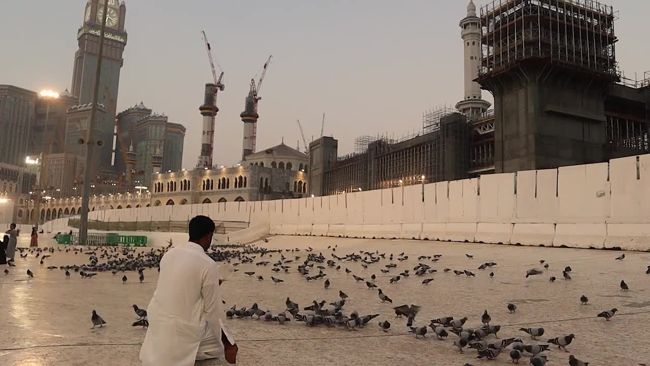 沙特阿拉伯王国的麦加城。朝拜者在大清真寺(麦加)附近的广场上喂鸽子。城市的动物视频下载