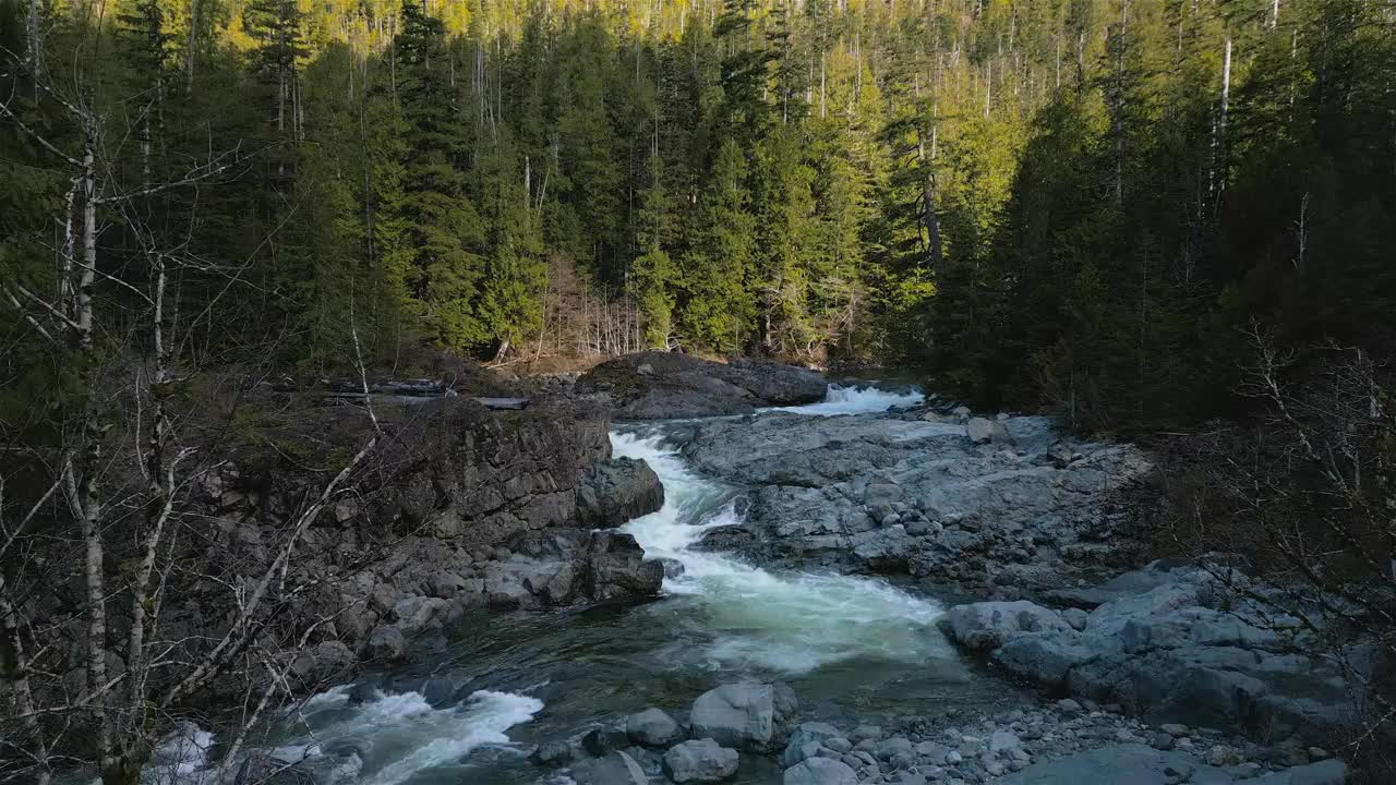 淡水沿着河流和岩石流下。拍摄于温哥华岛视频素材