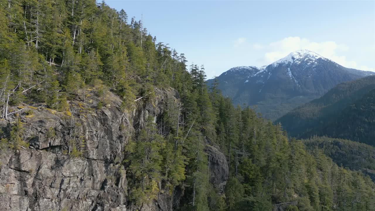 鸟瞰山坡上的绿树和岩石悬崖。视频下载